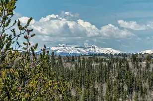 360 Musket Ln, Como, CO 80432 - Photo 42