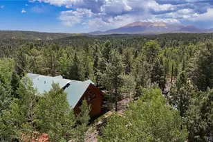 5527 County Road 5 Rd, Divide, CO 80814 - Photo 1