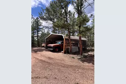 434 Blue Mountain Drive, Florissant, CO 80816 - Photo 4