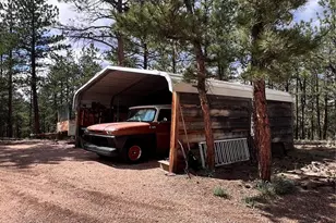 434 Blue Mountain Dr, Florissant, CO 80816 - Photo 4