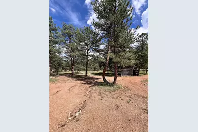 434 Blue Mountain Drive, Florissant, CO 80816 - Photo 40