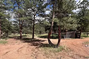 434 Blue Mountain Dr, Florissant, CO 80816 - Photo 40