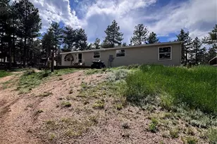 434 Blue Mountain Dr, Florissant, CO 80816 - Photo 36