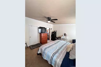 434 Blue Mountain Drive, Florissant, CO 80816 - Photo 20