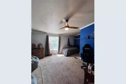 434 Blue Mountain Drive, Florissant, CO 80816 - Photo 32