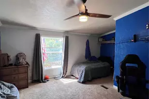 434 Blue Mountain Dr, Florissant, CO 80816 - Photo 32