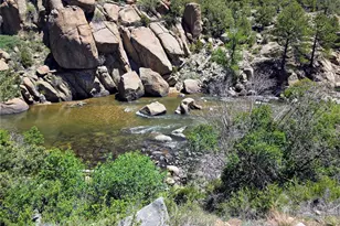 30320 Co Rd 371, Buena Vista, CO 81211 - Photo 4