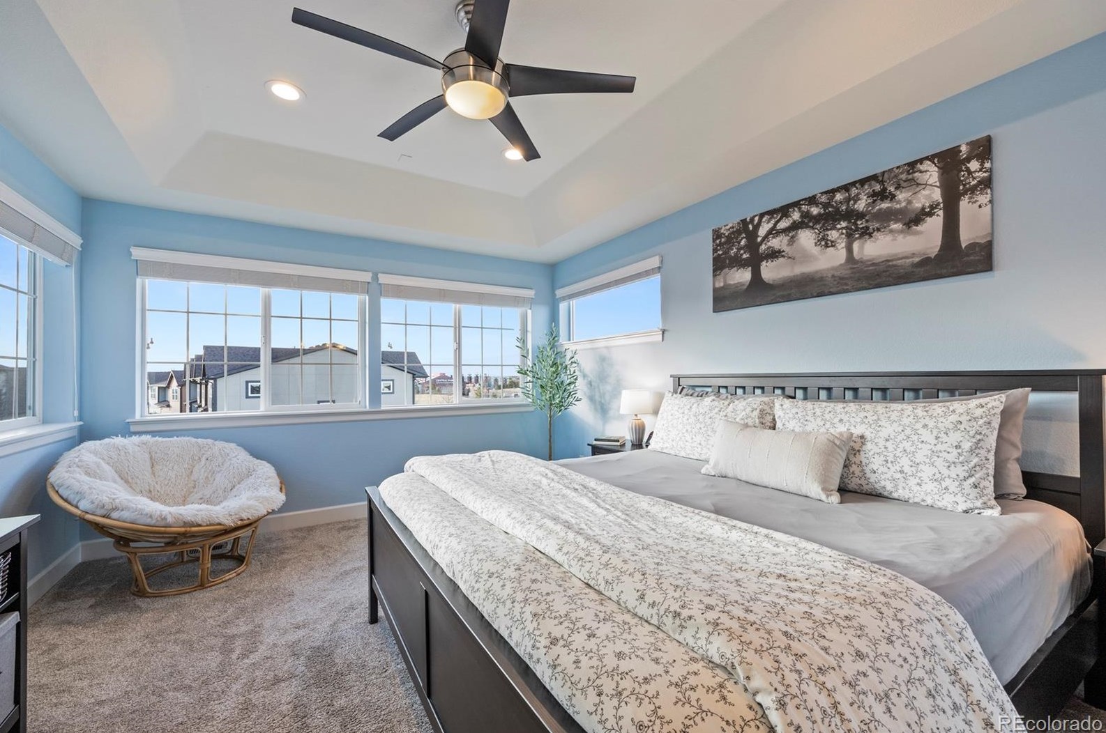 2938 Ironton St, Denver CO  80238-3215 exterior