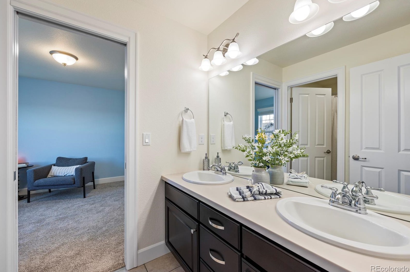 2938 Ironton St, Denver CO  80238-3215 exterior