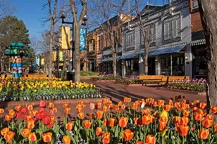 3693 Silverton St, Boulder, CO 80301 - Photo 46