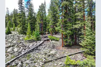 0 Dry Gulch Road, Fairplay, CO 80440 - Photo 24