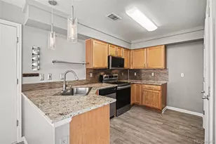21532 E 47th Ave, Denver, CO 80249 - Photo 10