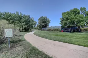 11048 Tim Tam Way, Parker, CO 80138 - Photo 48