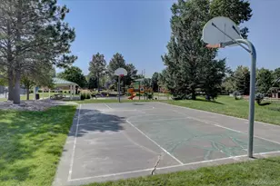 11048 Tim Tam Way, Parker, CO 80138 - Photo 46