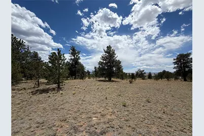 11840 Clear Creek Road, Hartsel, CO 80449 - Photo 12