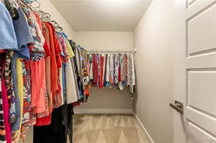 6682 Angelique Ave, Castle Rock, CO 80108 - Photo 36