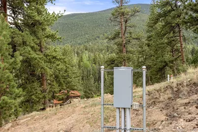 20859 County Road 77, Lake George, CO 80827 - Photo 40