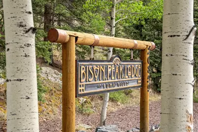 20859 County Road 77, Lake George, CO 80827 - Photo 48