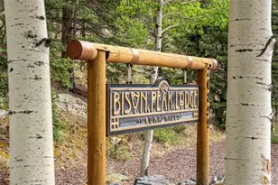 20859 Co Rd 77, Lake George, CO 80827 - Photo 48