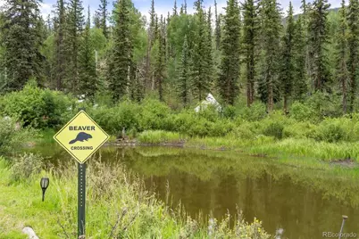 20859 County Road 77, Lake George, CO 80827 - Photo 42