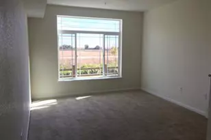 804 Summer Hawk Dr, Longmont, CO 80504 - Photo 6