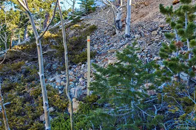 71 Pinecliff Trail, Nederland, CO 80466 - Photo 18