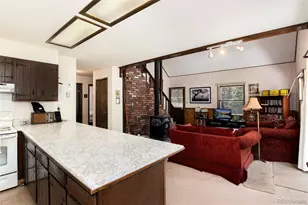 178 Elk Rd, Idaho Springs, CO 80452 - Photo 8