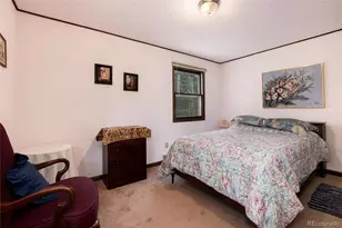 178 Elk Rd, Idaho Springs, CO 80452 - Photo 12