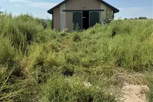 16154 Co Rd 24, Sterling, CO 80751 - Photo 4