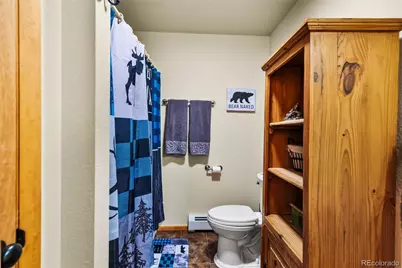 4091 Singletree Road, Hartsel, CO 80449 - Photo 28
