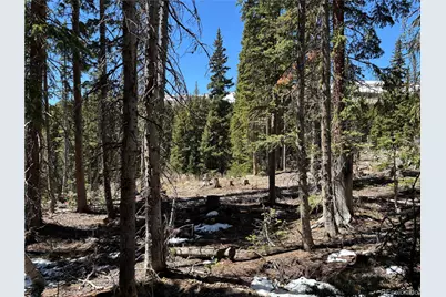 192 Kimmes Lane, Breckenridge, CO 80424 - Photo 4