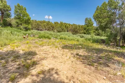 7918 Cozart Lane, Salida, CO 81201 - Photo 6