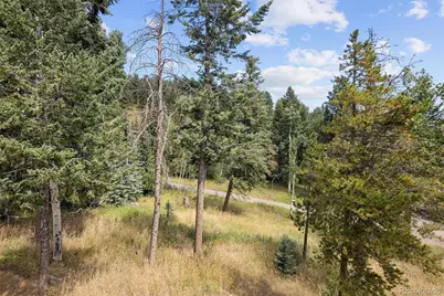 6791 Brook Forest Drive, Evergreen, CO 80439 - Photo 42