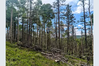 8.5 Acres Phillips Road, Fort Garland, CO 81133 - Photo 30