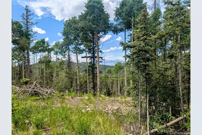 8.5 Acres Phillips Road, Fort Garland, CO 81133 - Photo 26