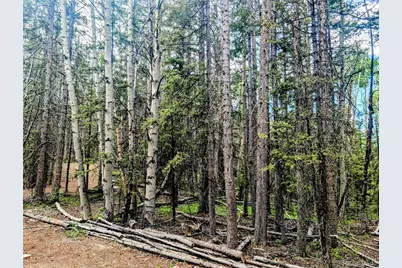 8.5 Acres Phillips Road, Fort Garland, CO 81133 - Photo 20