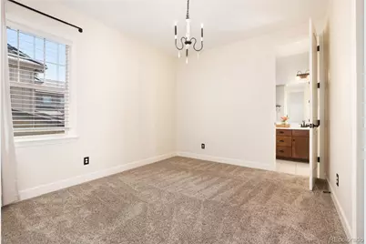 10640 Star Thistle Court, Highlands Ranch, CO 80126 - Photo 40