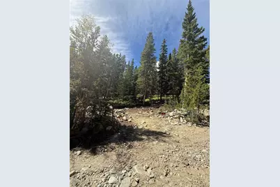 151 Lake Road, Idaho Springs, CO 80452 - Photo 4