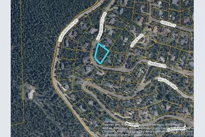 11637 Leavenworth Drive, Conifer, CO 80433 - Photo 4