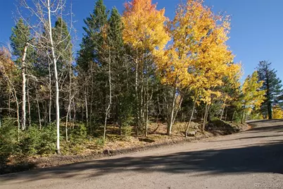 11637 Leavenworth Drive, Conifer, CO 80433 - Photo 2