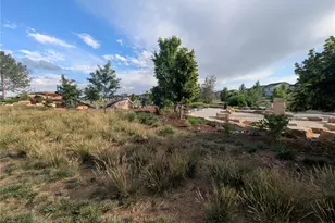 6109 Zebulon Pl, Timnath, CO 80547 - Photo 40