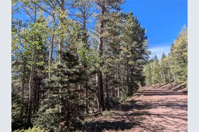 3244 Zipf Lane, Fort Garland, CO 81133 - Photo 2