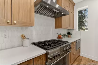734 N Downing Street, Denver, CO 80218 - Photo 14