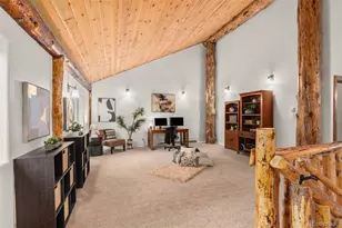 102 Carmargo Rd, Pine, CO 80470 - Photo 34