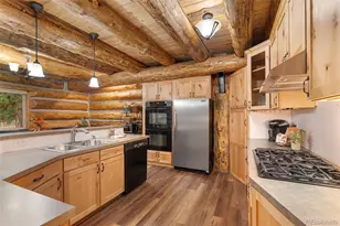 102 Carmargo Rd, Pine, CO 80470 - Photo 14