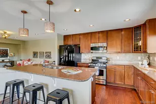 9139 Viaggio Way, Highlands Ranch, CO 80126 - Photo 8