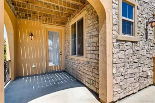 9139 Viaggio Way, Highlands Ranch, CO 80126 - Photo 24