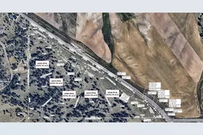 10324 Pine Song Place, Parker, CO 80138 - Photo 28