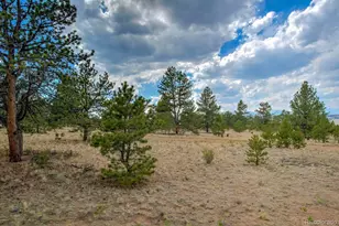 192 Maricopa Trail, Hartsel, CO 80449 - Photo 30