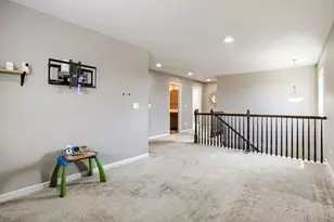 3397 Bittern St, Castle Rock, CO 80104 - Photo 16